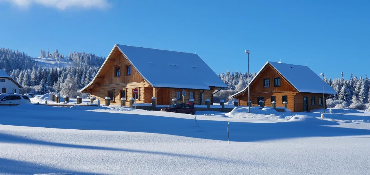Apartmany Plesivec Abertamy Zewnętrze zdjęcie